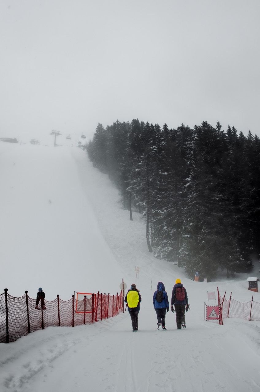 Winter excursion // 2024 Snowday at Merano 2000 - monovolume ...